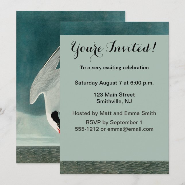 Invitación Pintado de vida silvestre del Ártico Tern Audubon (Anverso / Reverso)