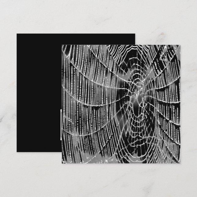 Invitación Pintura Abstracta De Un Cobarde Blanco Gris Sobre  (Anverso / Reverso)