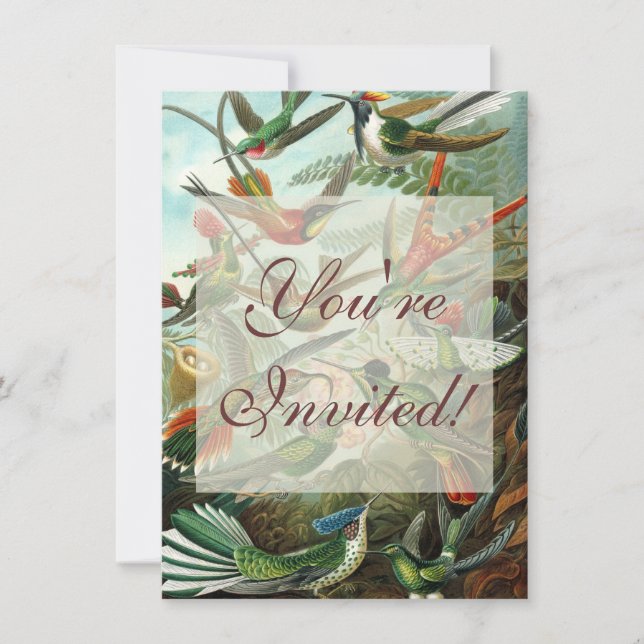 Invitación pintura clásica de la fauna silvestre de comingbir (Anverso)