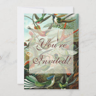 Invitación pintura clásica de la fauna silvestre de comingbir