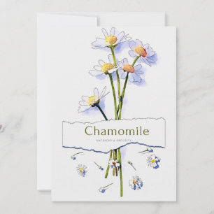 Invitación Pintura de acuarela de época de Chamomile