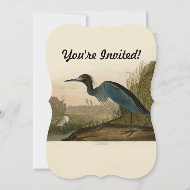 Invitación Pintura de Blue Crane Heron Audubon (Anverso)
