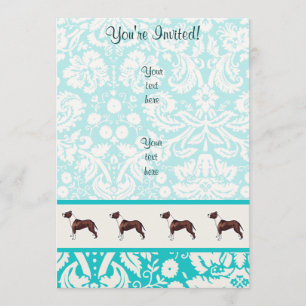 Invitación Pitbull; Cuto