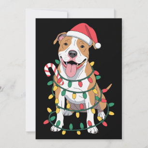 Invitación Pitbull de Navidad Perro Gorro de Santa Luces Caña