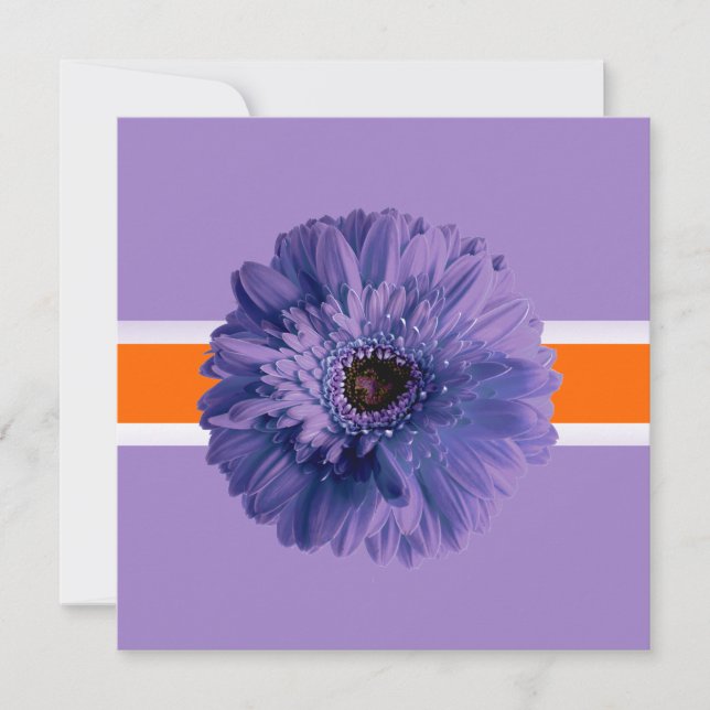 Invitación PixDezines Gerbera, colores de fondo morado/diy (Anverso)
