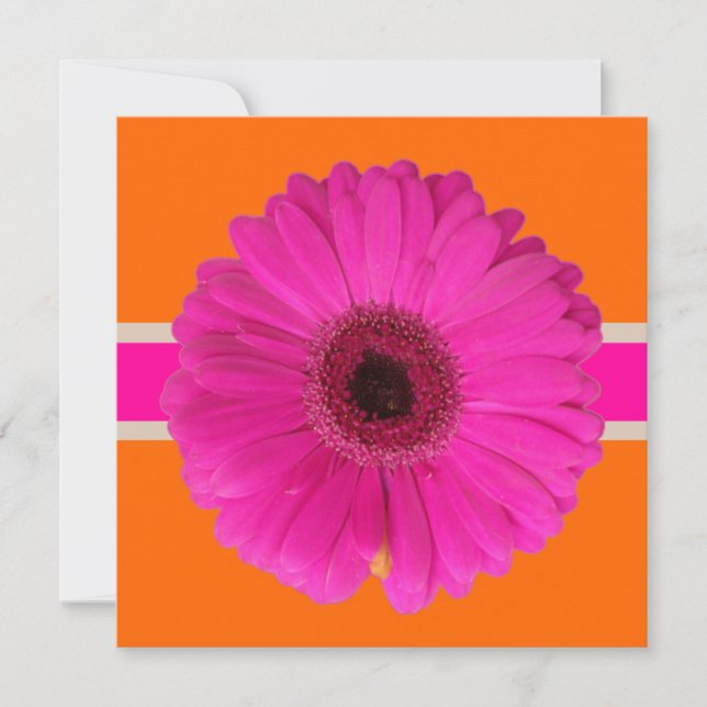Invitación PixDezines Gerbera, fondo/evento rosa/diy! (Anverso)