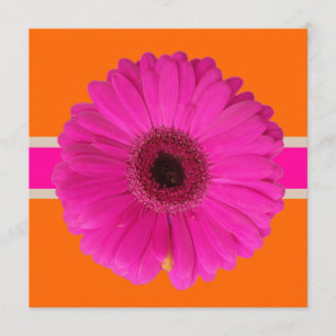 Invitación PixDezines Gerbera, fondo/evento rosa/diy!