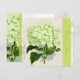 Invitación PixDezines hidrangea verde vintada