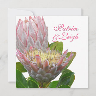 Invitación PixDezines maui protea pálido rosa/diy
