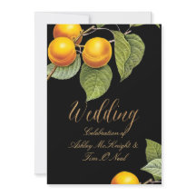 PixDezines Orchard/Melocotones/Redoute