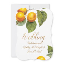 PixDezines Orchard / Melocotones / Redoute