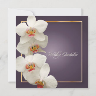 Invitación PixDezines orquídeas/falaenopsis
