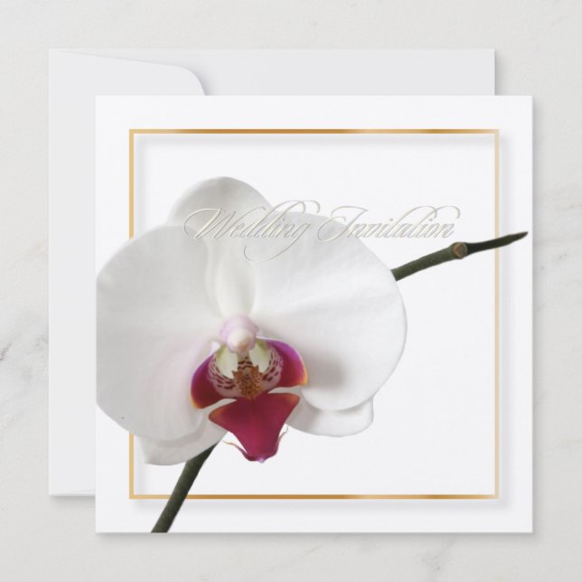 Invitación PixDezines orquídeas/falaenopsis (Anverso)