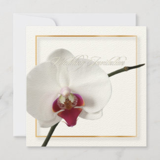 Invitación PixDezines orquídeas/falaenopsis