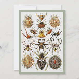 Invitación Placa 66 de arañas doradas de Haeckel