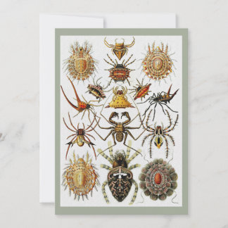 Invitación Placa 66 de arañas doradas de Haeckel