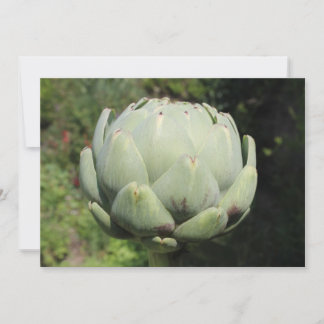 Invitación Planta de alcachofa.