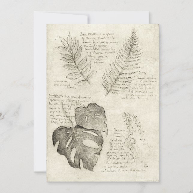 Invitación Plantas (Anverso)