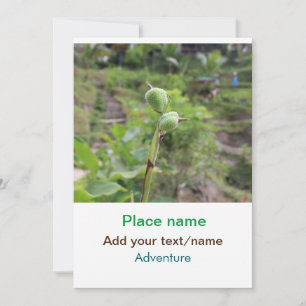 Invitación Plantas naturales fotografía nombre de viaje en ag