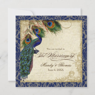 Invitación Plaza Boda de encaje azul de la marina Peacock & F