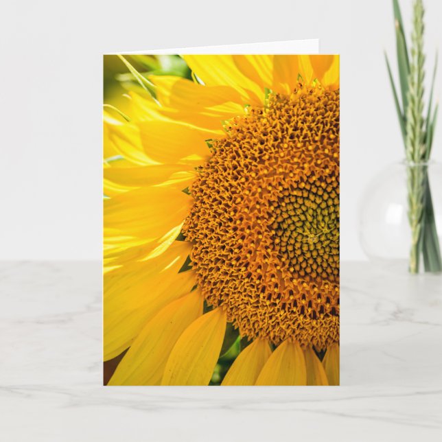 Invitación plegada (Anverso)