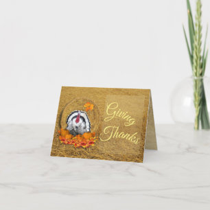 Invitación Plegada de Acción de Gracias