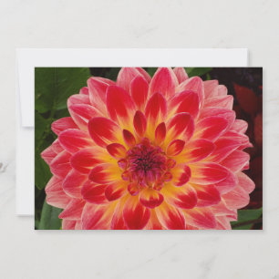 Invitación plegada en blanco