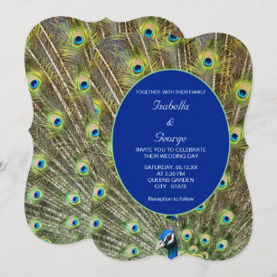 Invitación Plumas de Pavo Real y Caligrafía en Boda Azul