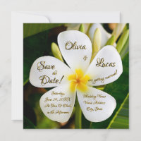 Plumeria blanca tropical - Nuevos comienzos - Boda