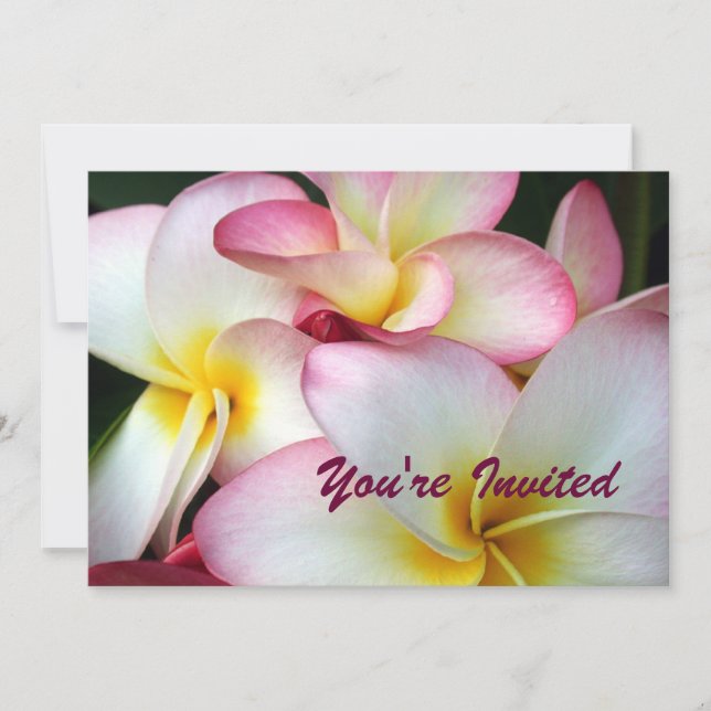 Invitación Plumeria blanca y rosa (Anverso)