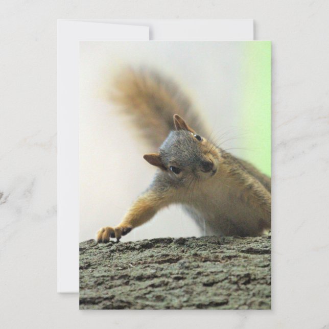 Invitación Poder (Anverso)