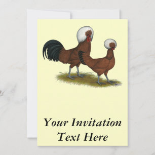 Invitación Polaco: Rojos con crema blanca