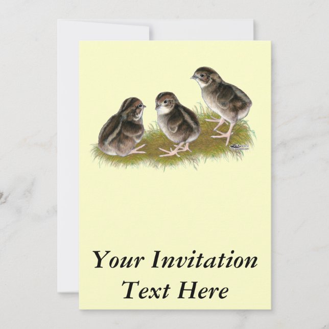Invitación Pollitos de codorniz Coturnix (Anverso)