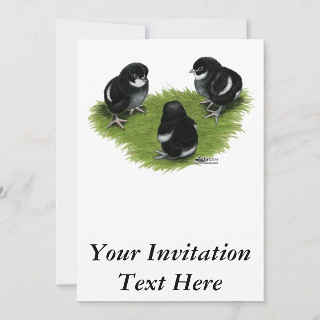 Invitación Pollitos de Marans Negro Cobre (Anverso)