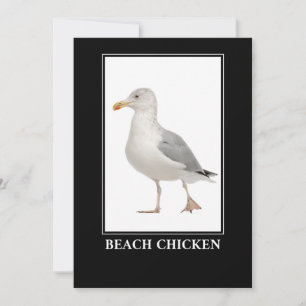 Invitación Pollo de playa - Humor de gaviota de gaviota de ga