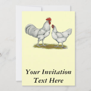 Invitación Pollos blancos de Australia