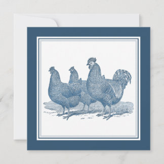 Invitación Pollos de la roca de Plymouth Gallinas de gallos a