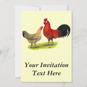 Invitación Pollos para la Buttercup en Sicilia