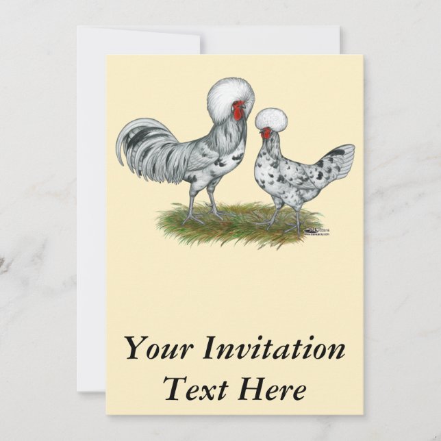 Invitación Pollos polacos de esplash (Anverso)