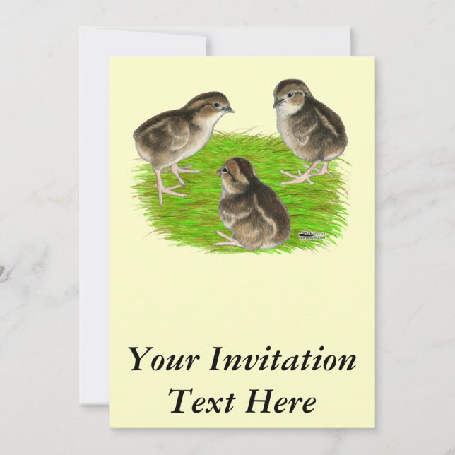 Invitación Polluelos de codorniz Bobwhite (Anverso)
