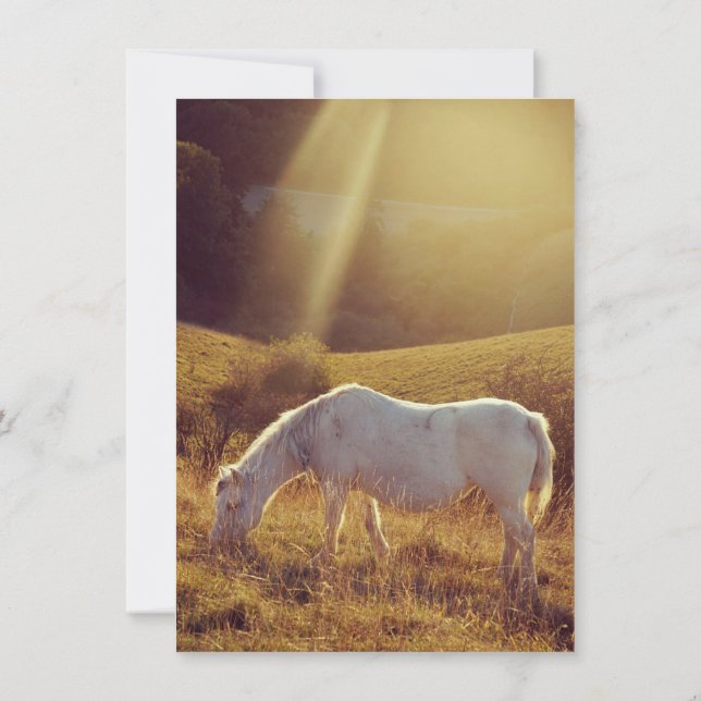 Invitación Pony Grazing (Reverso)