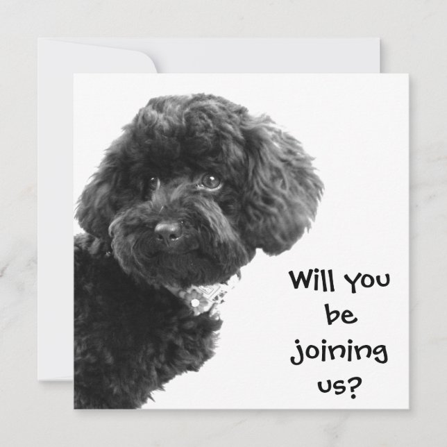 Invitación Poodle de juguetes negros recortados © Fiesta pers (Anverso)