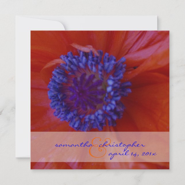 Invitación Poppies rojos/invitaciones de boda (Anverso)