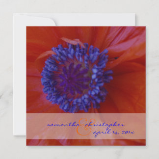 Invitación Poppies rojos/invitaciones de boda
