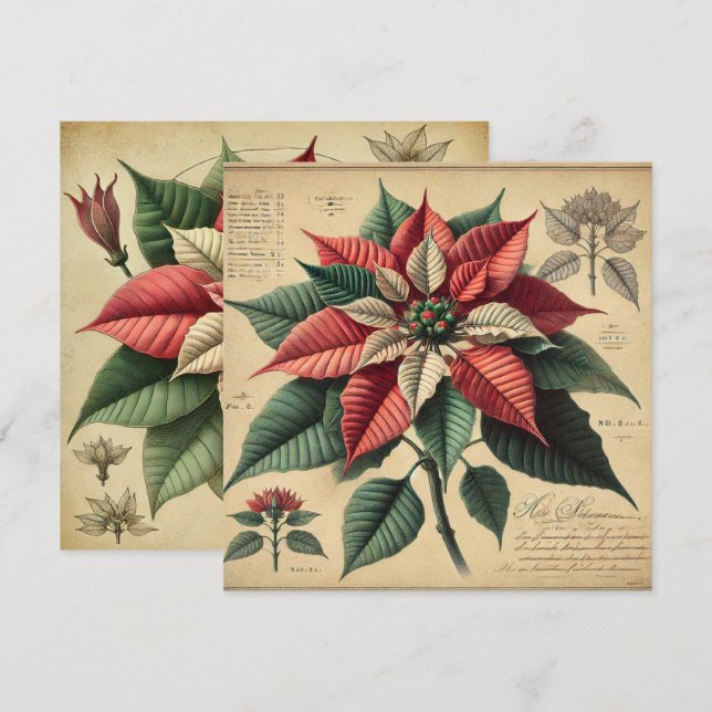 Invitación Portafolios botánicos de Poinsettia Retro Imprimib (Anverso / Reverso)
