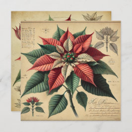 Invitación Portafolios botánicos de Poinsettia Retro Imprimib