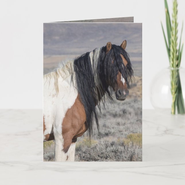Invitación Portrait of Zephyr Wild Horse Greeting Card (Anverso)