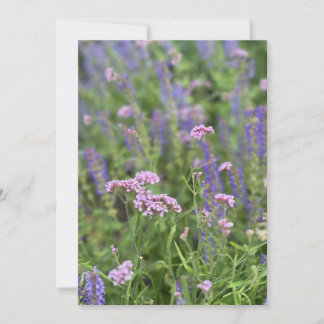 Invitación Post card 