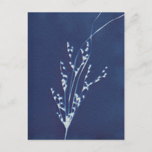 Invitación Postal de arte blanco azul azul para impresión de 