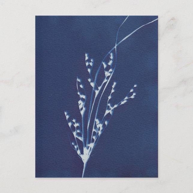 Invitación Postal de arte blanco azul azul para impresión de  (Anverso)
